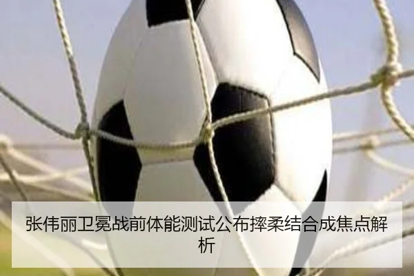 张伟丽卫冕战前体能测试公布摔柔结合成焦点解析 - LD