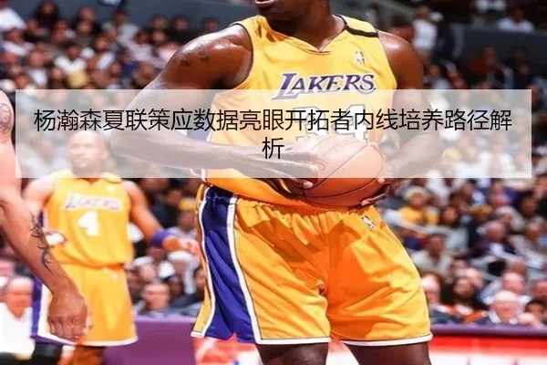 杨瀚森夏联策应数据亮眼开拓者内线培养路径解析 | LD